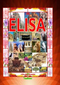 Profeten Elisa